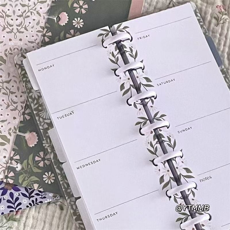 Schlanker Typ, Pilzloch, lose  – Planner Weekly Budget Bewertung und Preis